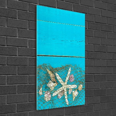 Glass picture wall art Shells and starfish