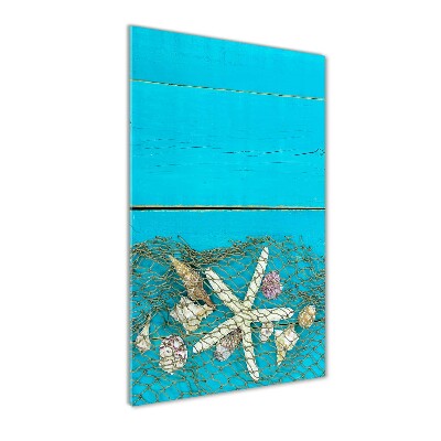 Glass picture wall art Shells and starfish