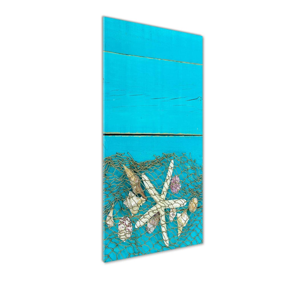 Glass picture wall art Shells and starfish