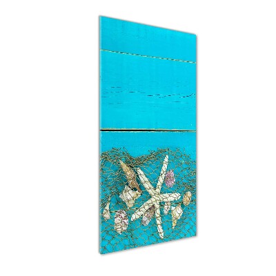 Glass picture wall art Shells and starfish