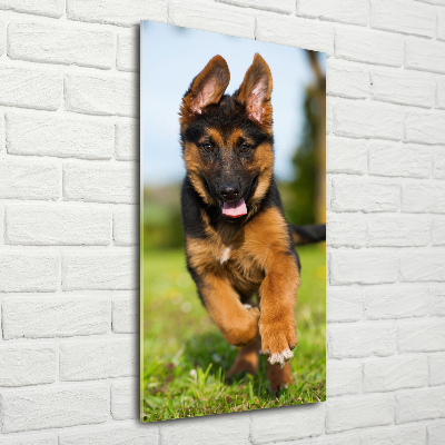 Glass wall art German Shepherd