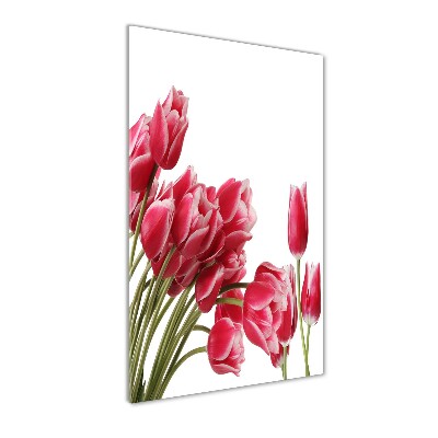 Photo printed on glass Red tulips