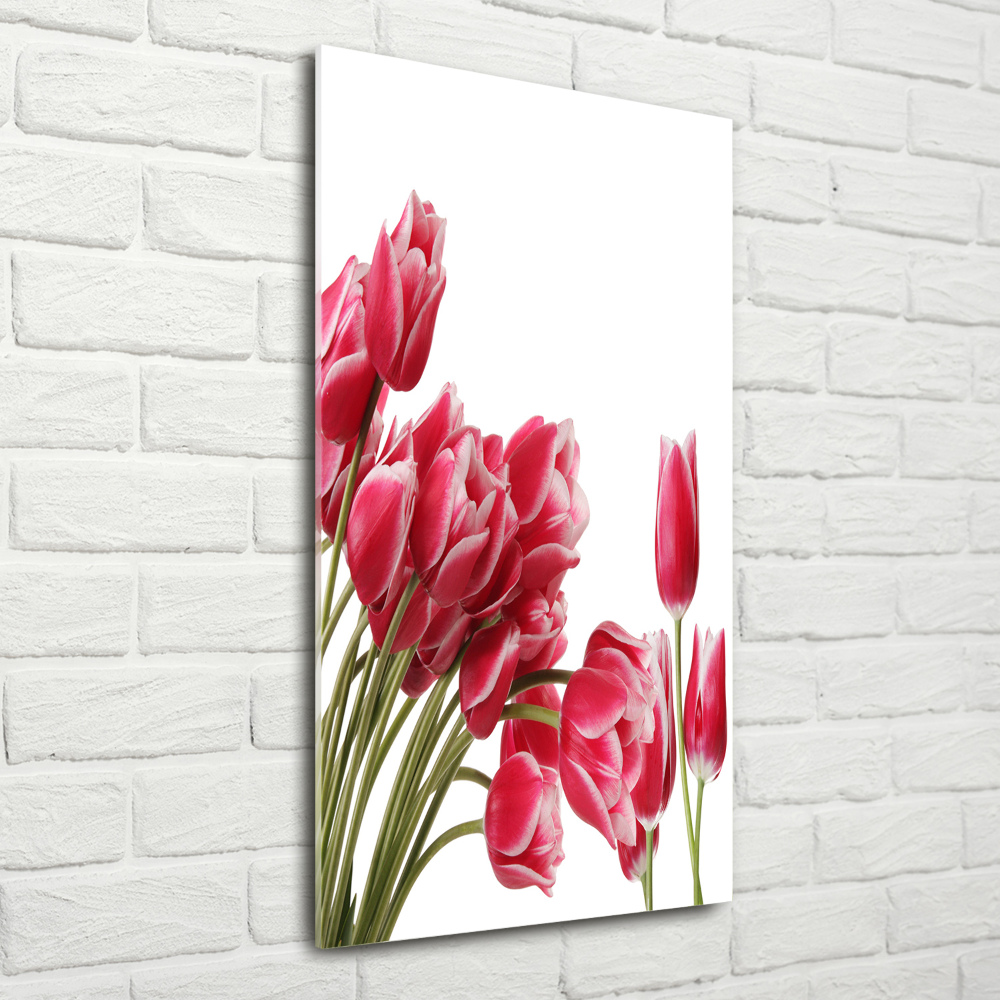 Photo printed on glass Red tulips