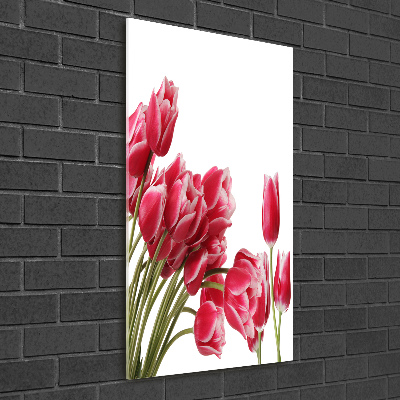 Photo printed on glass Red tulips