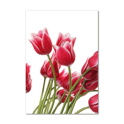 Photo printed on glass Red tulips