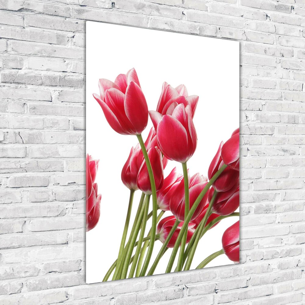 Photo printed on glass Red tulips