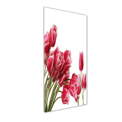 Photo printed on glass Red tulips