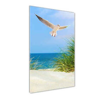 Photo printed on glass Seagull over the dunes