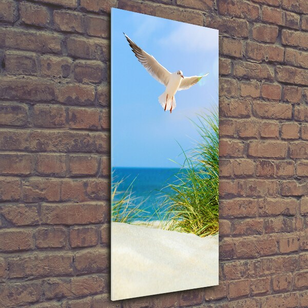 Photo printed on glass Seagull over the dunes