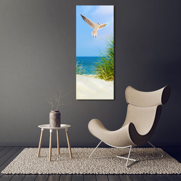 Photo printed on glass Seagull over the dunes