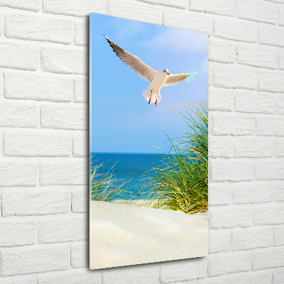 Photo printed on glass Seagull over the dunes