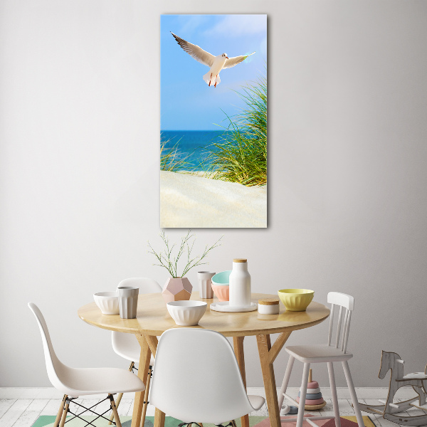 Photo printed on glass Seagull over the dunes