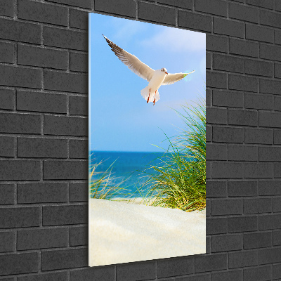 Photo printed on glass Seagull over the dunes