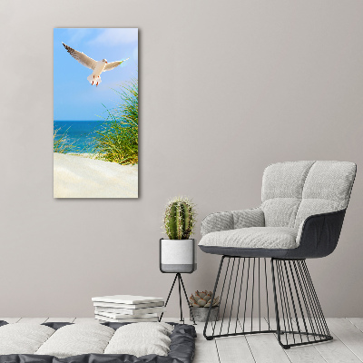 Photo printed on glass Seagull over the dunes