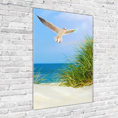 Photo printed on glass Seagull over the dunes