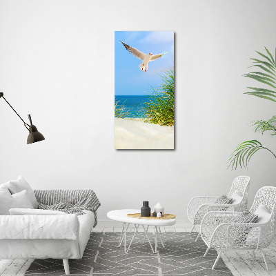 Photo printed on glass Seagull over the dunes