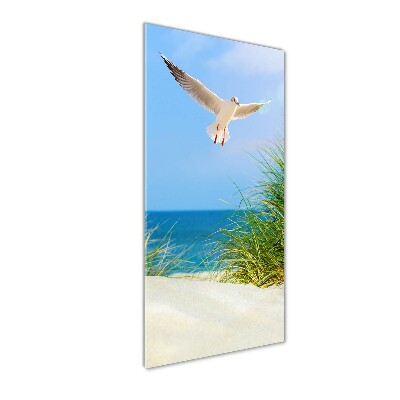 Photo printed on glass Seagull over the dunes