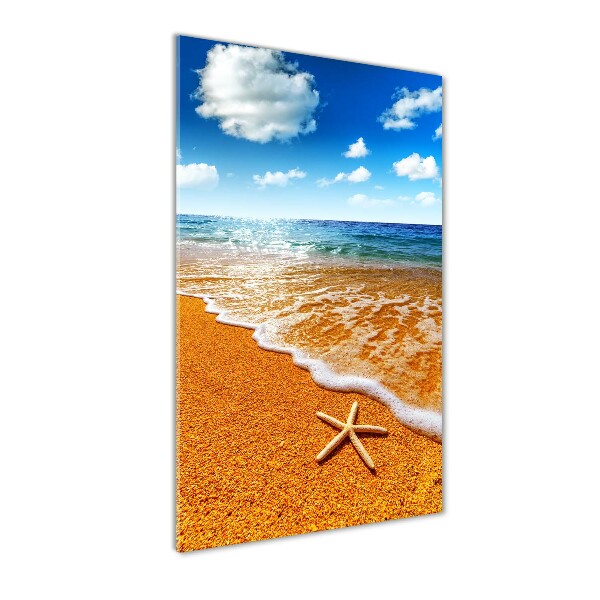 Printed glass wall art Starfish