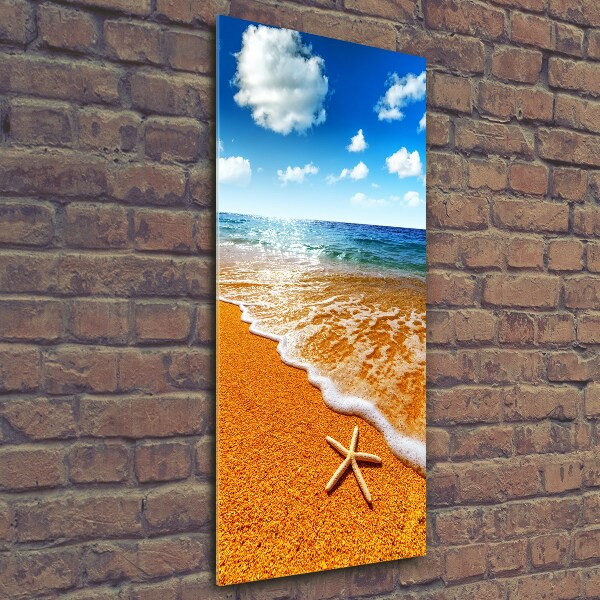 Printed glass wall art Starfish