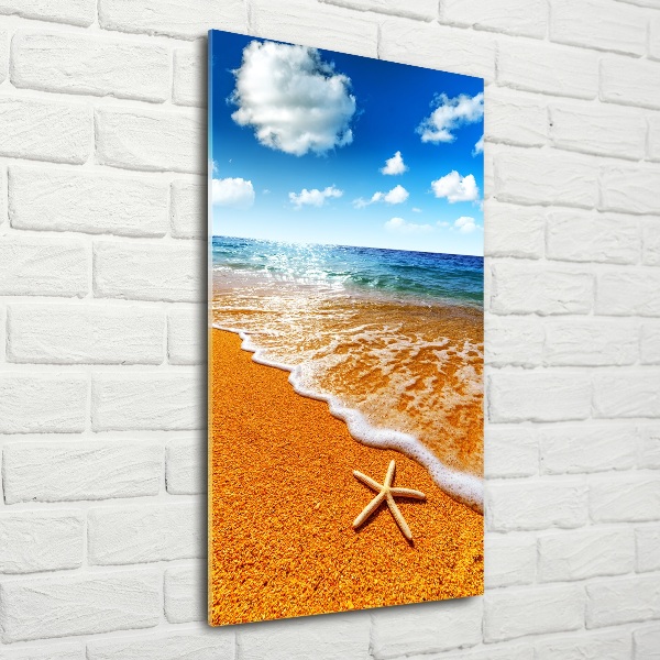 Printed glass wall art Starfish