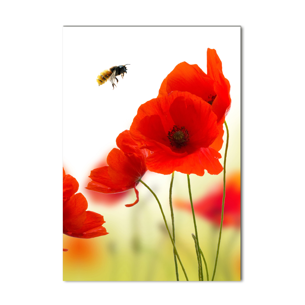 Glass picture wall art Field poppies