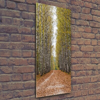 Glass picture wall art Birch forest