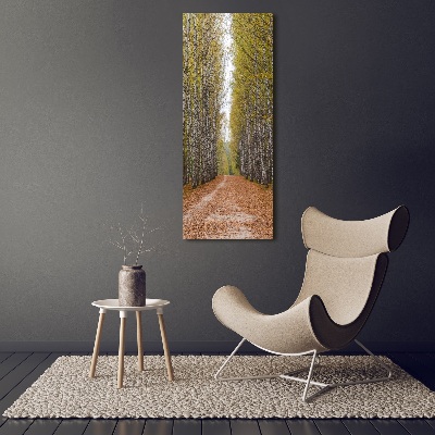 Glass picture wall art Birch forest