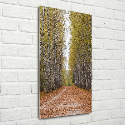 Glass picture wall art Birch forest