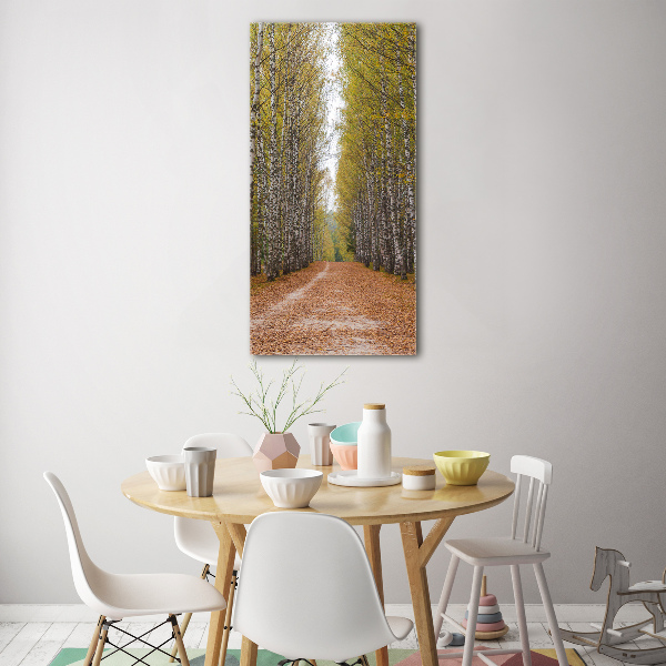 Glass picture wall art Birch forest