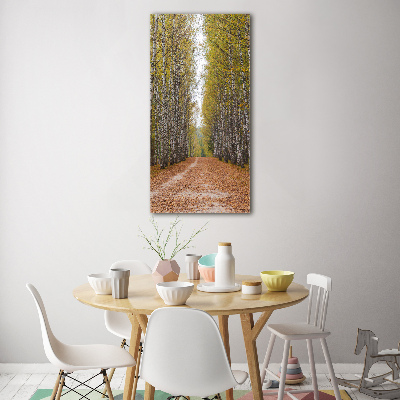 Glass picture wall art Birch forest