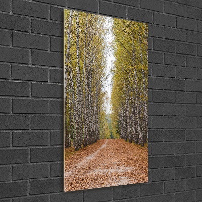 Glass picture wall art Birch forest