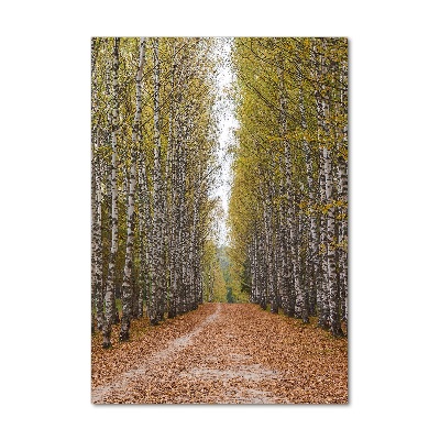 Glass picture wall art Birch forest