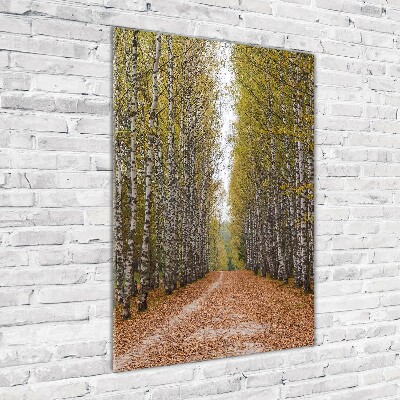 Glass picture wall art Birch forest