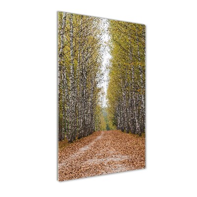 Glass picture wall art Birch forest