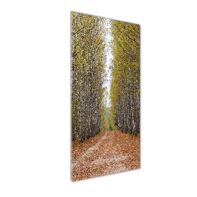 Glass picture wall art Birch forest