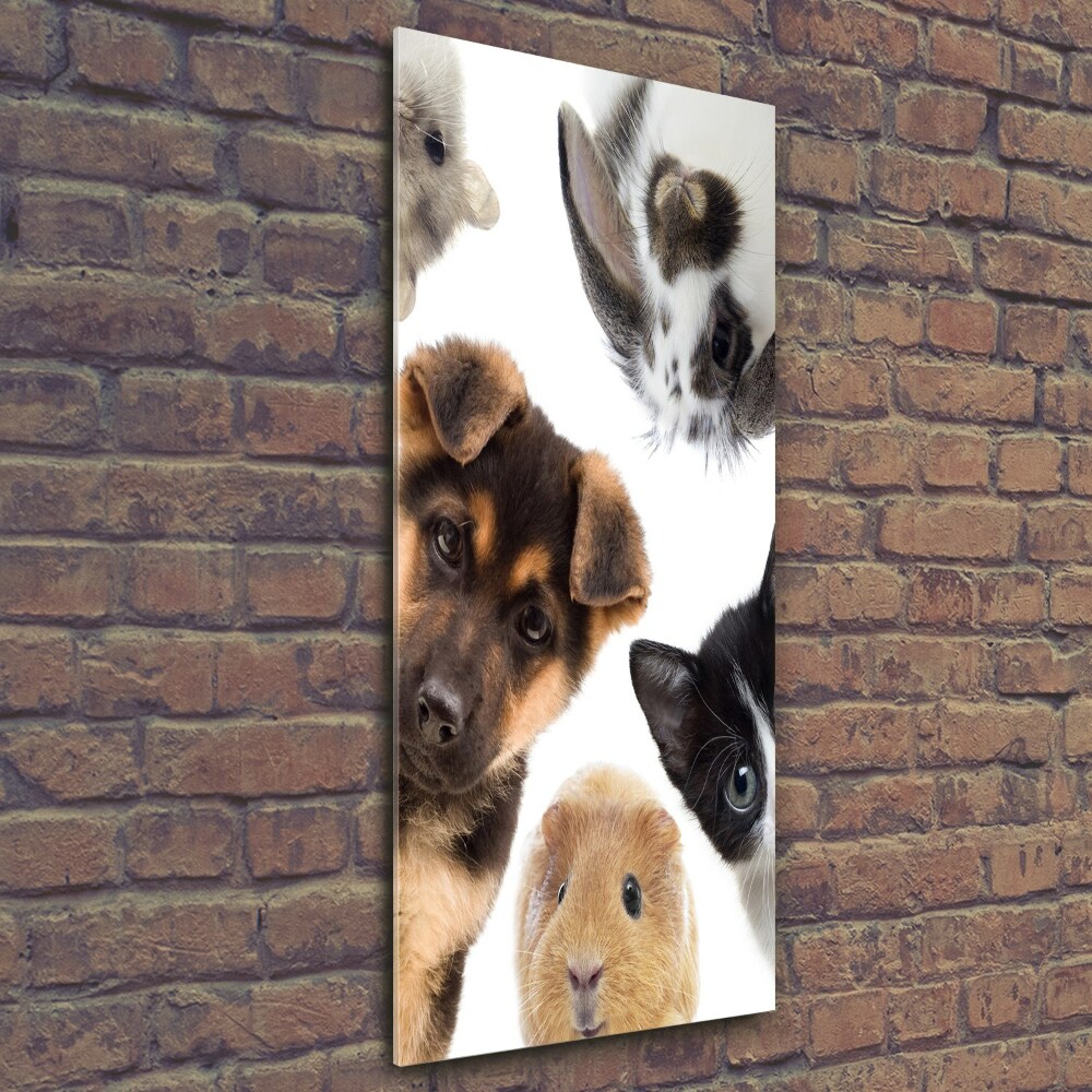 Wall art on glass Pets