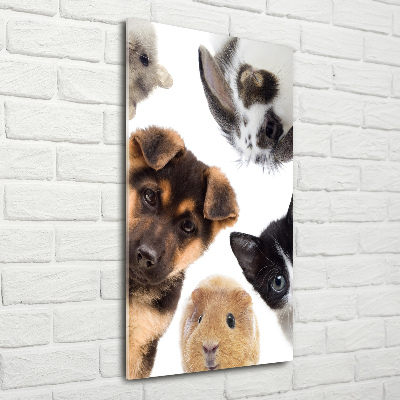 Wall art on glass Pets