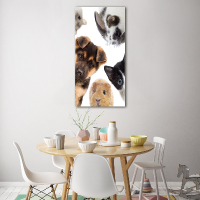 Wall art on glass Pets