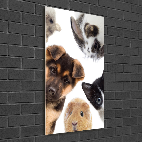 Wall art on glass Pets