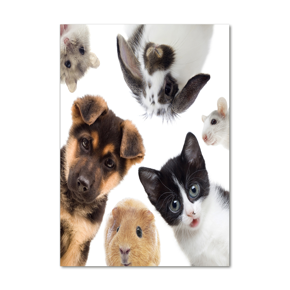 Wall art on glass Pets