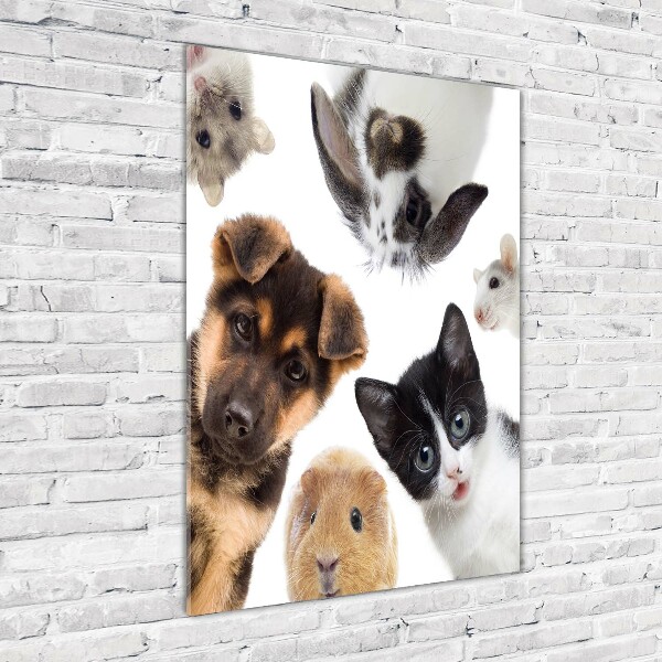 Wall art on glass Pets