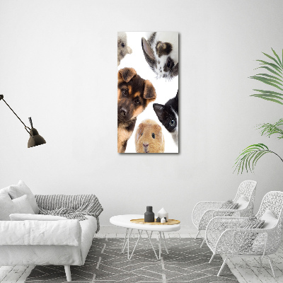 Wall art on glass Pets