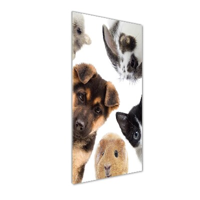 Wall art on glass Pets