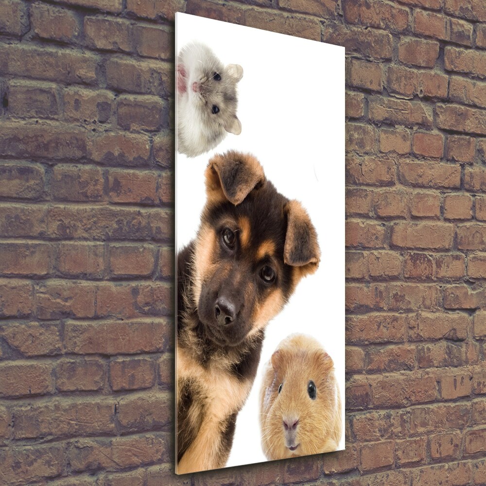 Wall art on glass Pets