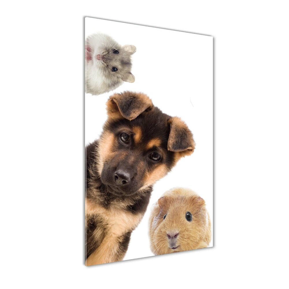 Wall art on glass Pets