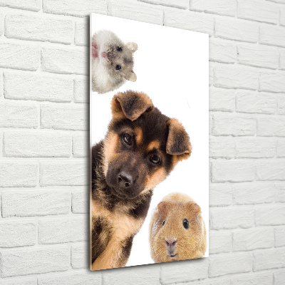 Wall art on glass Pets