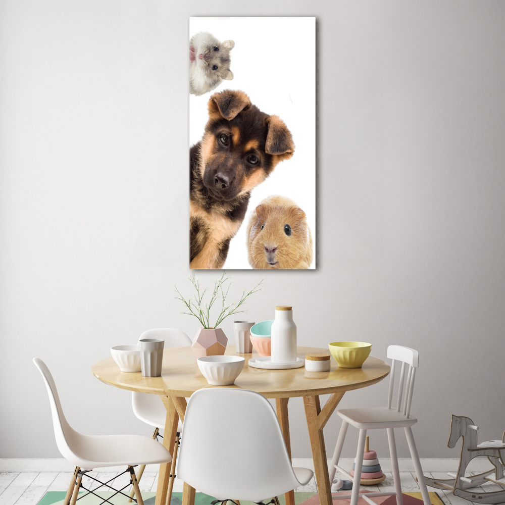 Wall art on glass Pets