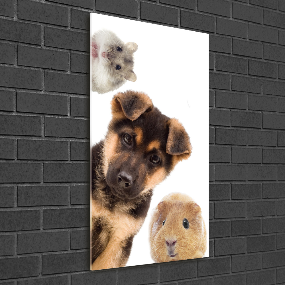 Wall art on glass Pets