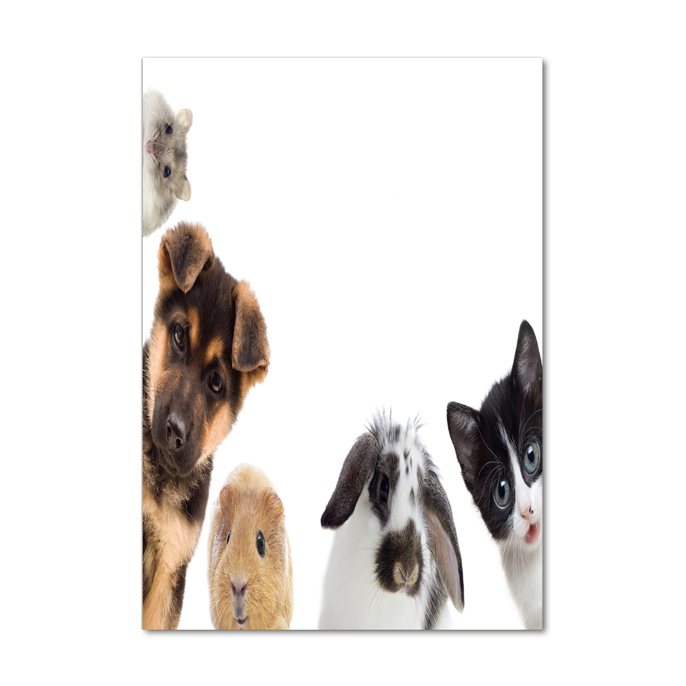 Wall art on glass Pets