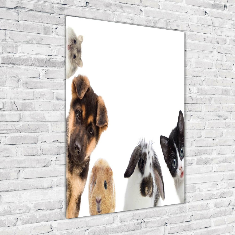 Wall art on glass Pets